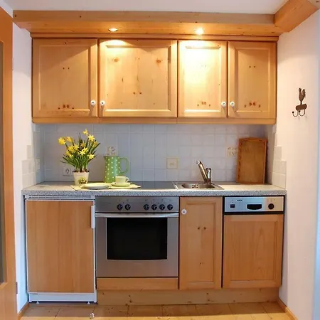 Haus Geiger Apartment